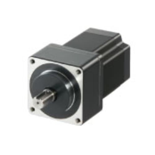 Động cơ Oriental RK599BAE-PS10 Động cơ Oriental RK599BAE-PS10