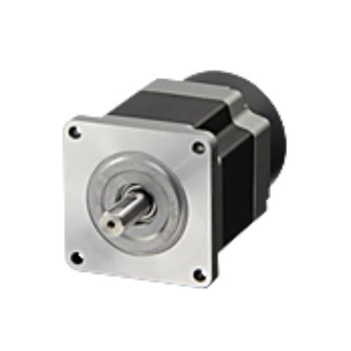 Động cơ Oriental RKS569RCD-1 Động cơ Oriental RKS569RCD-1