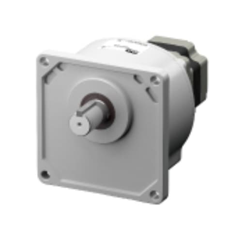 Động cơ Oriental BLM5400HPK-5DV100S Động cơ Oriental BLM5400HPK-5DV100S