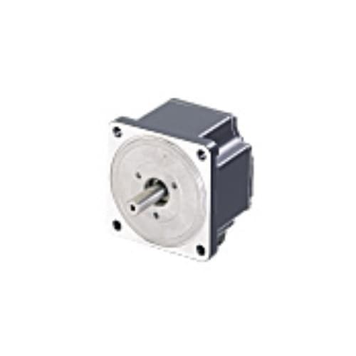 Động cơ Oriental BLUM220-A Động cơ Oriental BLUM220-A