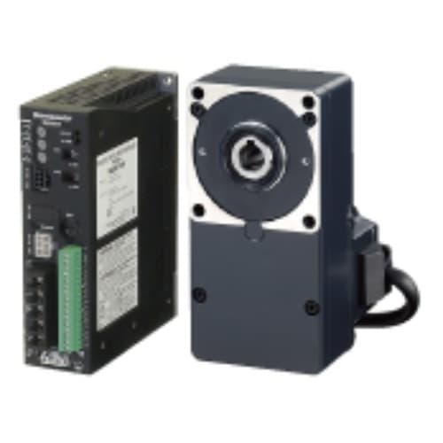 Động cơ Oriental BLE512A100F Động cơ Oriental BLE512A100F