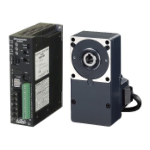 Động cơ Oriental BLE46A100F Động cơ Oriental BLE46A100F