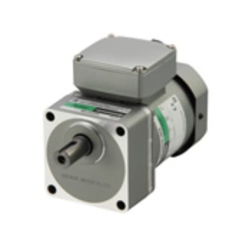 Động cơ Oriental 5IK60JST2-250 Động cơ Oriental 5IK60JST2-250