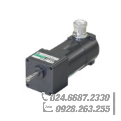 Động cơ Oriental 4IK25EB-100S Động cơ Oriental 4IK25EB-100S