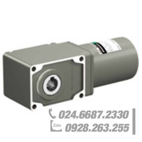 Động cơ Oriental 5IK40JA-GHR15 Động cơ Oriental 5IK40JA-GHR15