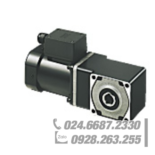 Động cơ Oriental 5IK60CT-9HJ Động cơ Oriental 5IK60CT-9HJ