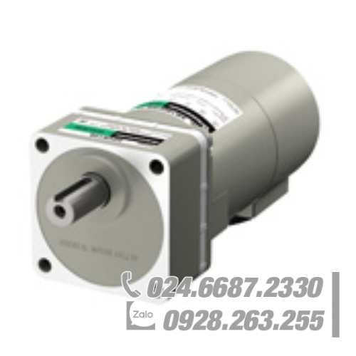 Động cơ Oriental 5IK60VJSM-36 Động cơ Oriental 5IK60VJSM-36