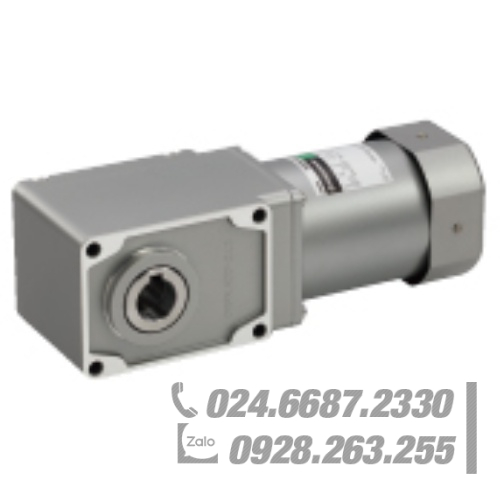 Động cơ Oriental 5IK90JA-GHR20 Động cơ Oriental 5IK90JA-GHR20