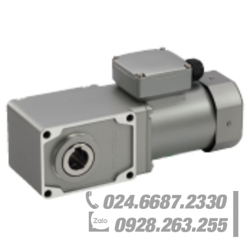 Động cơ Oriental 5IK90JCT2-GHR120 Động cơ Oriental 5IK90JCT2-GHR120