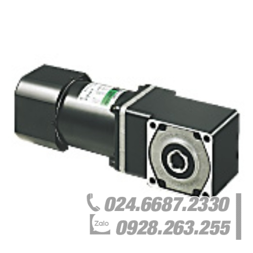 Động cơ Oriental 5RK60AM-90HJ Động cơ Oriental 5RK60AM-90HJ