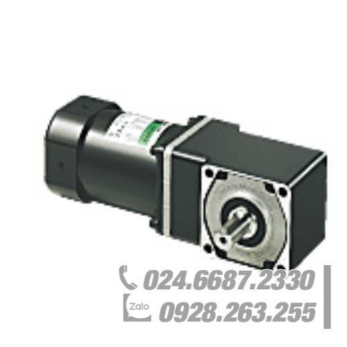 Động cơ Oriental 5RK90A-100AJ Động cơ Oriental 5RK90A-100AJ