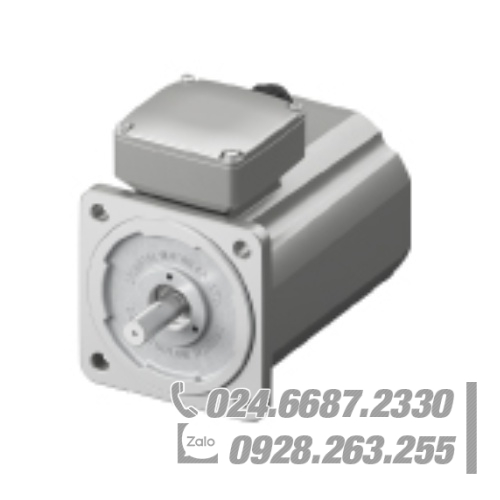 Động cơ Oriental 7IK200VAS-ES3T2 Động cơ Oriental 7IK200VAS-ES3T2