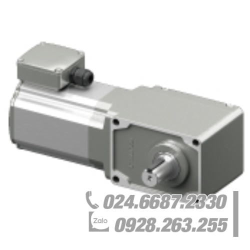 Động cơ Oriental 7IK200VEUT2-GAL60 Động cơ Oriental 7IK200VEUT2-GAL60