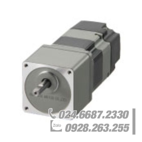 Động cơ Oriental ARM66MC-T20 Động cơ Oriental ARM66MC-T20