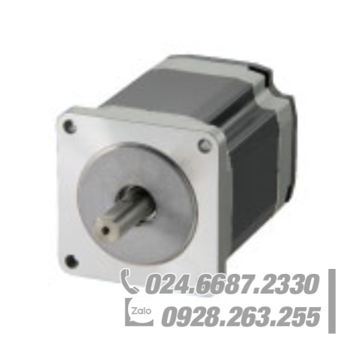 Động cơ Oriental ARM911A0C Động cơ Oriental ARM911A0C