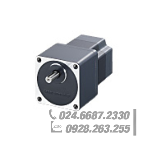 Động cơ Oriental AS98AAED-T7.2 Động cơ Oriental AS98AAED-T7.2