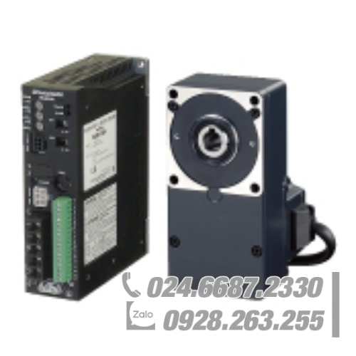 Động cơ Oriental BLE46A100F Động cơ Oriental BLE46A100F