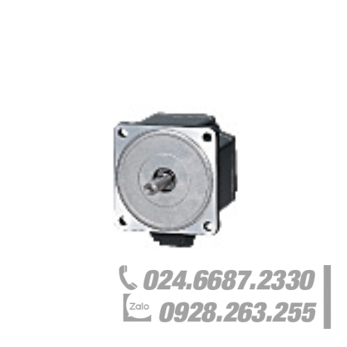 Động cơ Oriental BLF46A-A-1 Động cơ Oriental BLF46A-A-1