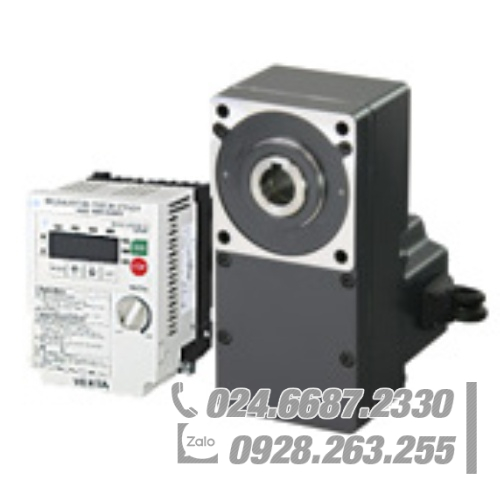 Động cơ Oriental BLF640S-30F-1 Động cơ Oriental BLF640S-30F-1