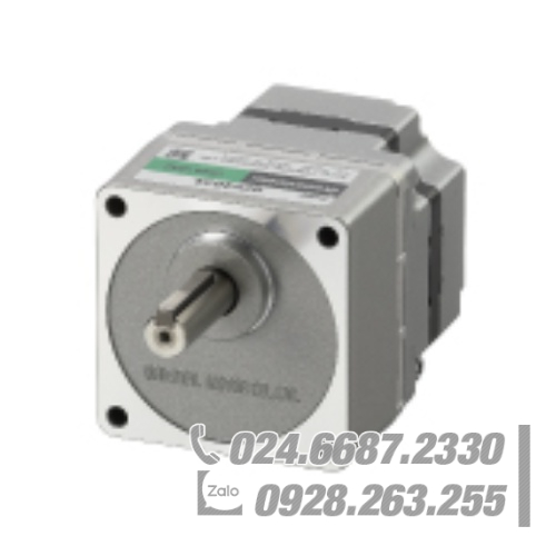 Động cơ Oriental BLM230-1002 Động cơ Oriental BLM230-1002