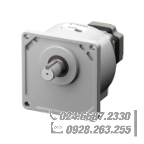 Động cơ Oriental BLM5400HPK-5DV100S Động cơ Oriental BLM5400HPK-5DV100S