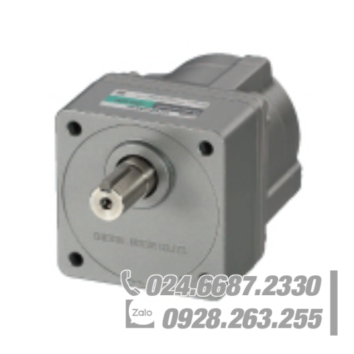 Động cơ Oriental BLM7200HW-100S Động cơ Oriental BLM7200HW-100S