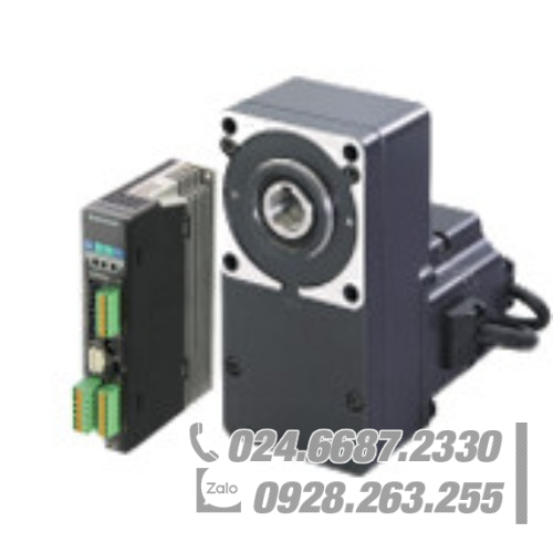 Động cơ Oriental BXS6200AM-30FR-3 Động cơ Oriental BXS6200AM-30FR-3