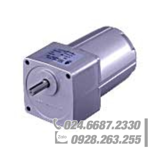 Động cơ Oriental FPSI560A-90M Động cơ Oriental FPSI560A-90M