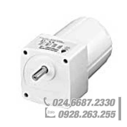 Động cơ Oriental FPW690A-100J Động cơ Oriental FPW690A-100J