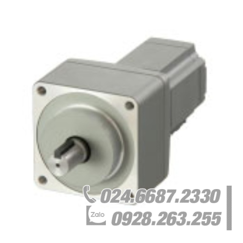 Động cơ Oriental NX920AA-PS10-1 Động cơ Oriental NX920AA-PS10-1