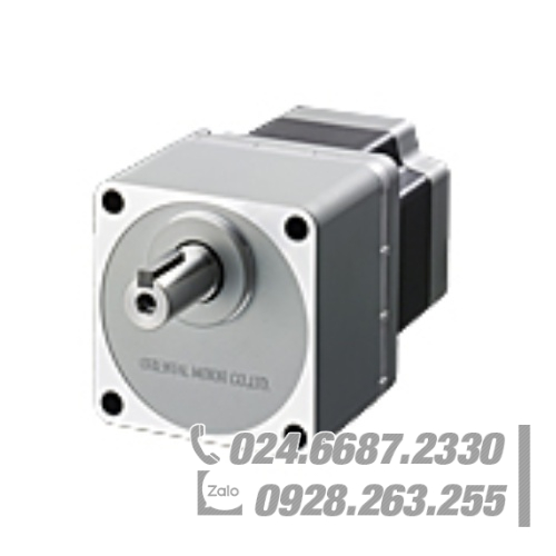 Động cơ Oriental RKS596AC-TS30-3 Động cơ Oriental RKS596AC-TS30-3