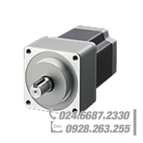 Động cơ Oriental RKS596BCD-PS36-1 Động cơ Oriental RKS596BCD-PS36-1