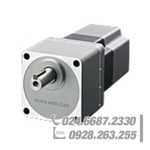 Động cơ Oriental RKS596MAD-TS20 Động cơ Oriental RKS596MAD-TS20