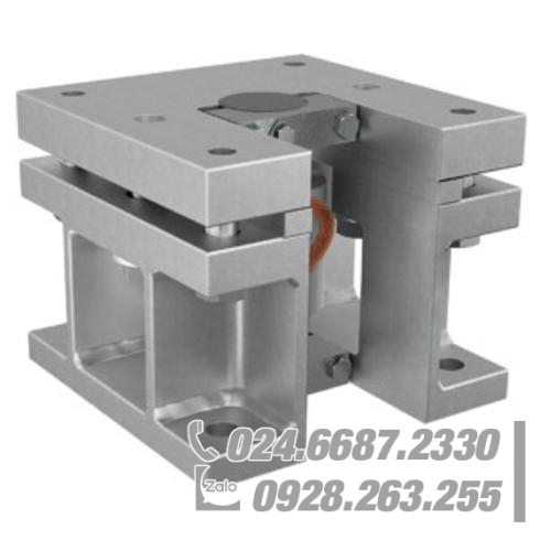 Module cân FLINTEC 55-55 Module cân FLINTEC 55-55