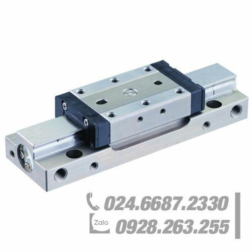 Xi lanh khí nén NEW-ERA PPTS-GT16-30-TPQN-RC52LA Xi lanh khí nén NEW-ERA PPTS-GT16-30-TPQN-RC52LA